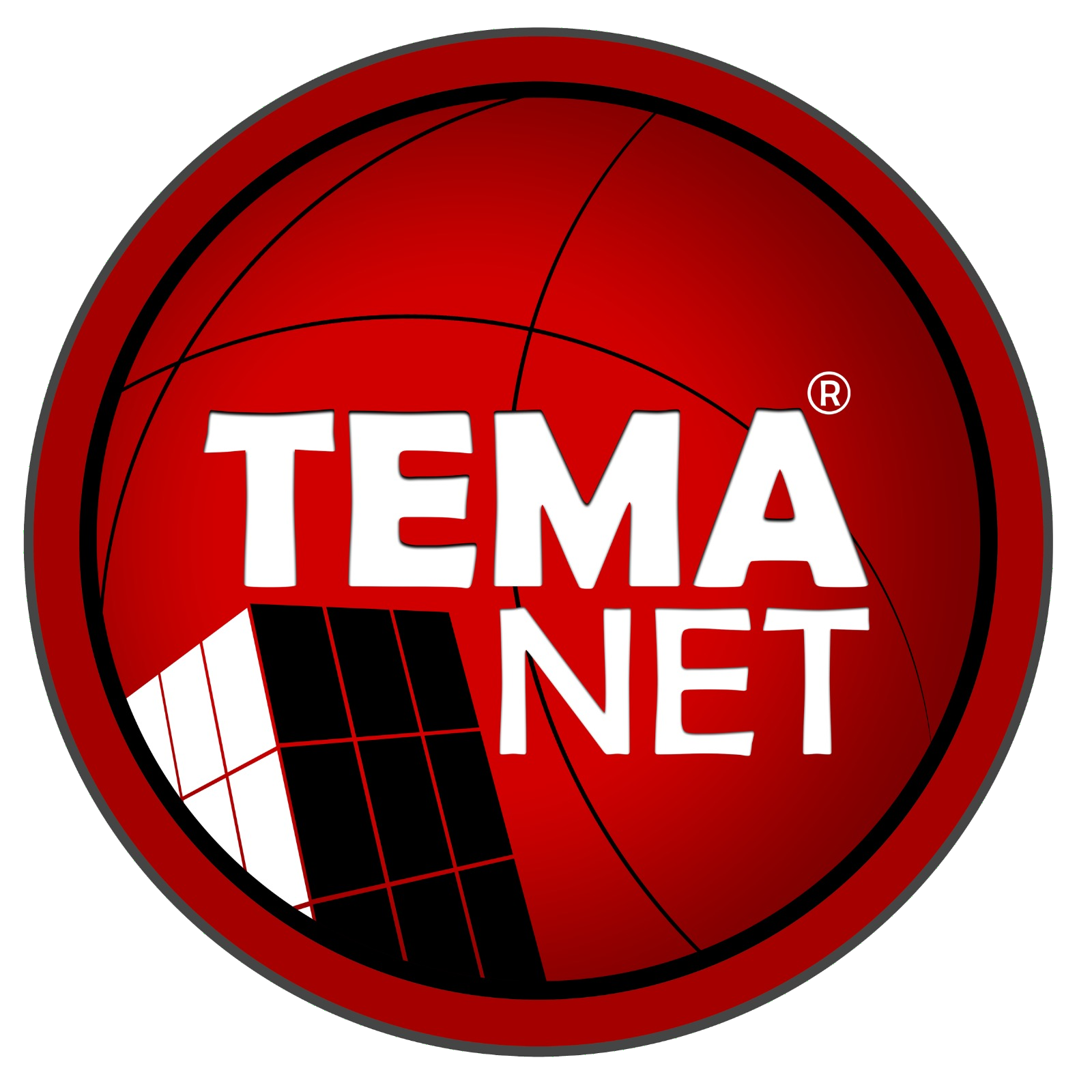 Temanet Logo